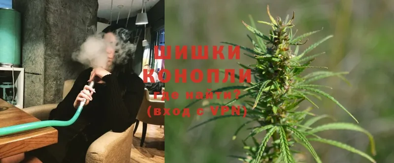 Конопля SATIVA & INDICA  сколько стоит  Краснозаводск 